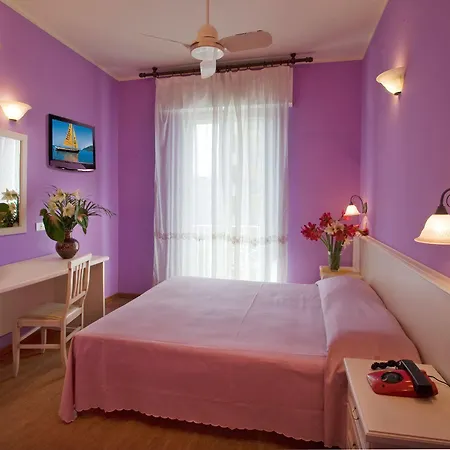 Plaza Hotel 3*