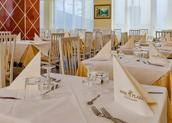 Plaza Hotell 3*